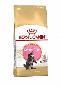 רויאל קנין Royal Canin מייקון גור 4 ק"ג רויאל קנין Royal Canin מייקון גור 4 ק"ג