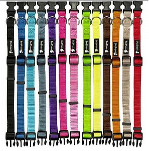 קולר פטס פרוגקט XL בצבעים קולר פטס פרוגקט XL בצבעים