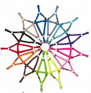 רתמת גוף לכלב -פטס פרוג'קט מידה M רתמת גוף לכלב -פטס פרוג'קט מידה M