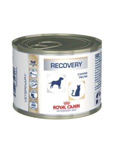 רויאל קנין royal canin -ריקברי כלב\חתול רפואי 195 גרם רויאל קנין royal canin -ריקברי כלב\חתול רפואי 195 גרם