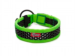 קולר Softy ירוק ושחור (עובי 3.3 ס"מ) 35-41 ס"מ קולר Softy ירוק ושחור (עובי 3.3 ס"מ) 35-41 ס"מ