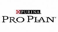 Pro Plan